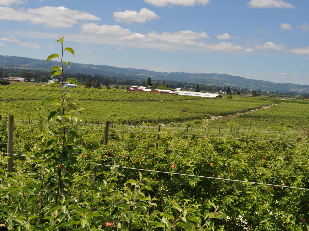 Oregon Heritage Farms景点图片