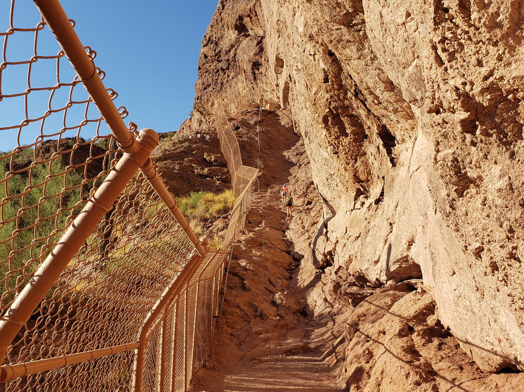 Cholla Trail-凤凰城必去景点