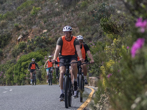 EBike Animal Ocean-木湾必去景点