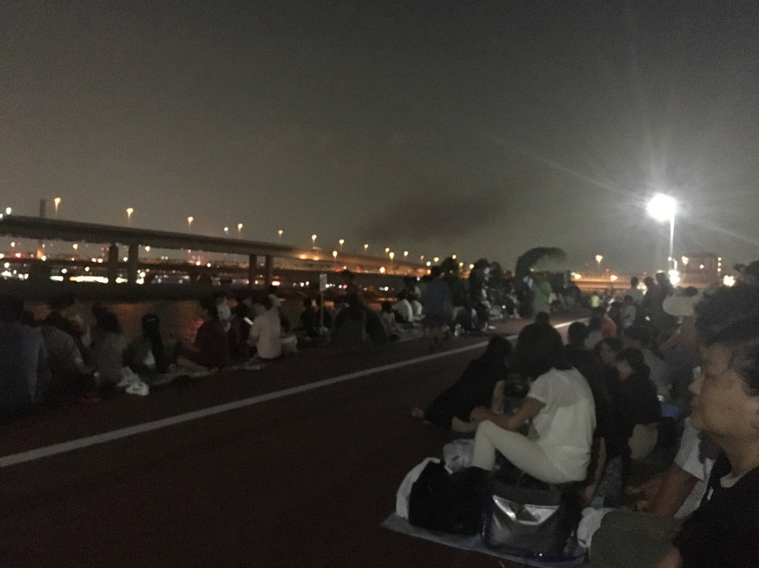 Edogawa Fireworks-江戸川区必去景点