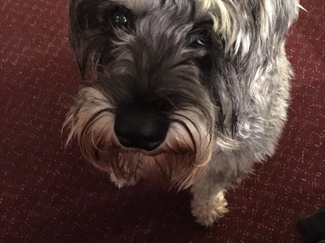 The Cross Keys Hotel主图