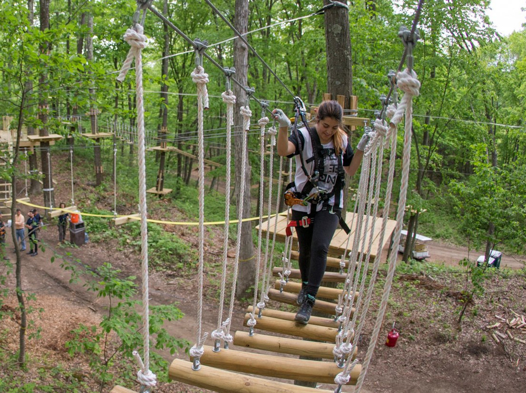 TreEscape Aerial Adventure Park景点图片