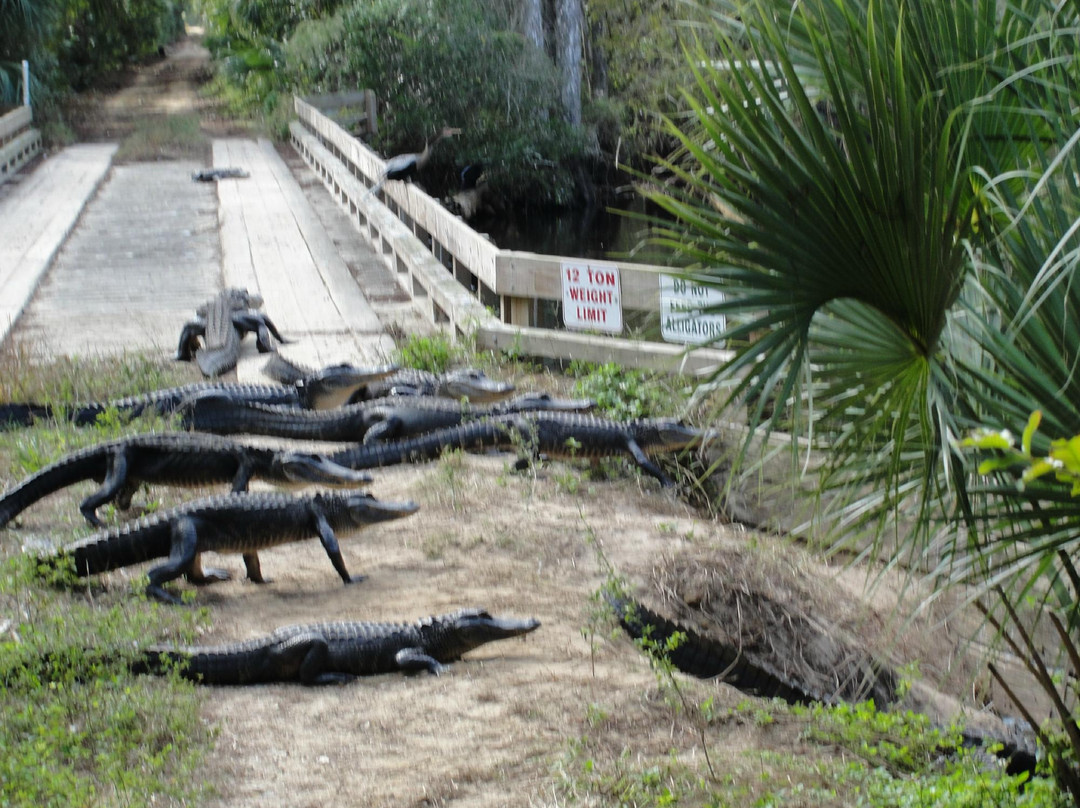 Fred C. Babcock-Cecil M. Webb Wildlife Management Area