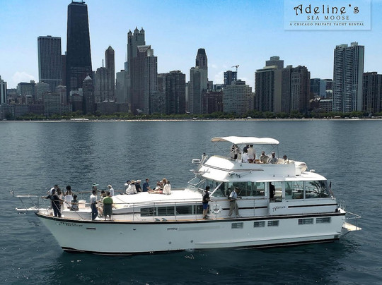 Adelines's Sea Moose-芝加哥必去景点