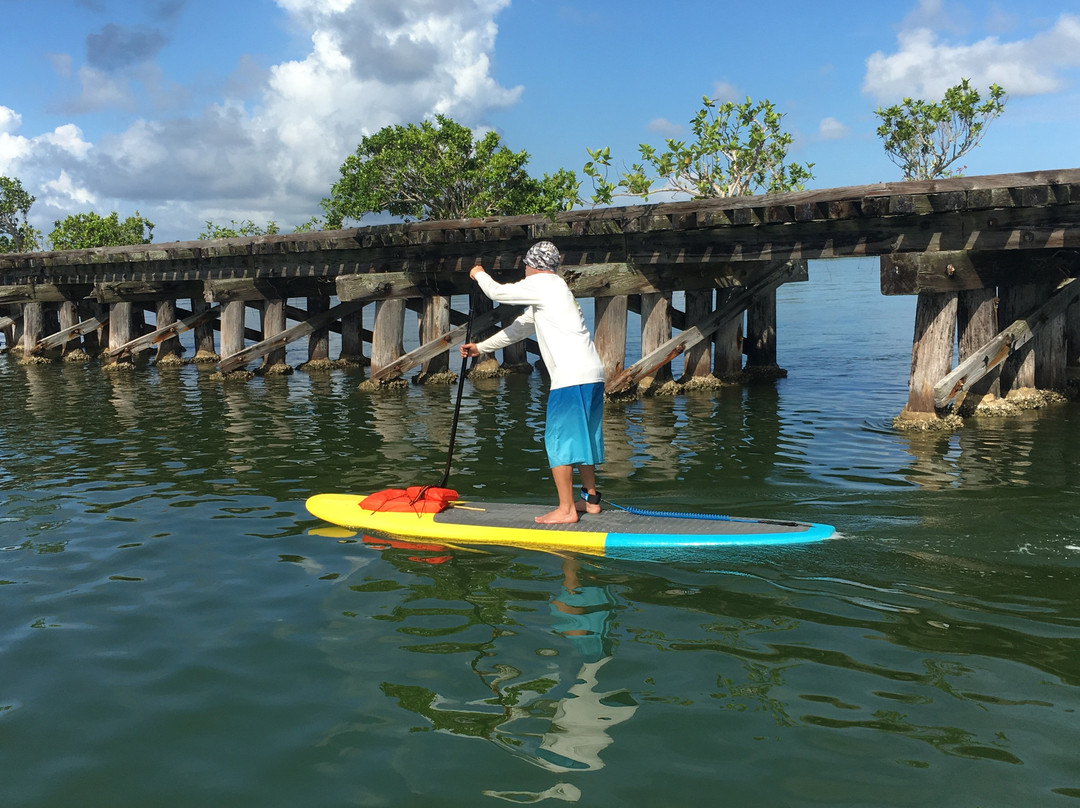 Wicked Paddle-Manasota Key必去景点