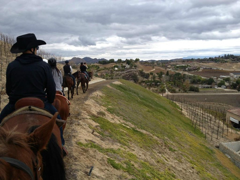 Saddle Up Wine Tours-特曼库拉必去景点