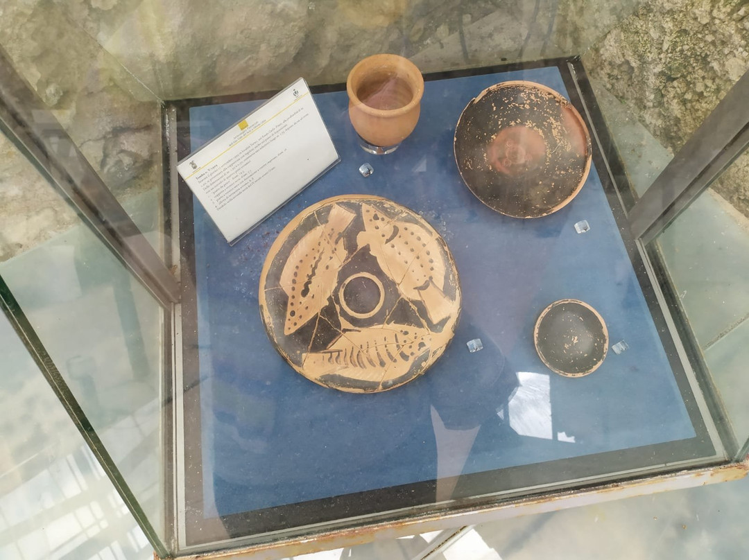 Museo Archeologico Provinciale Dell'alta Valle Del Sele-Oliveto Citra必去景点