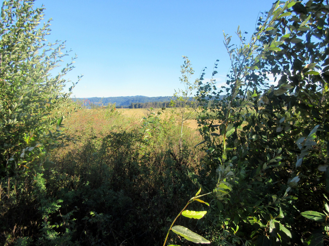 Washougal旅游景点-Steigerwald Lake National Wildlife Refuge
