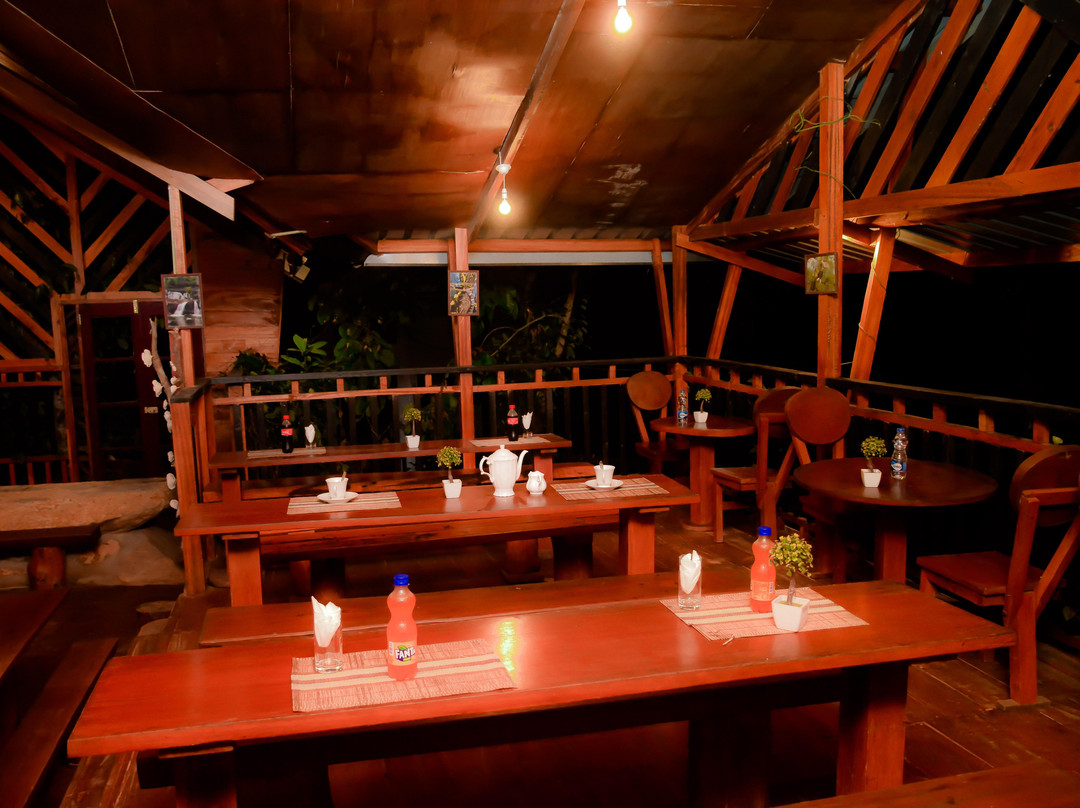 Sinharaja Expedition - Tour Guide In Sinharaja Rainforest-Deniyaya必去景点