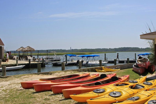 Old Town Canoe and Kayak Assateague Island Tours