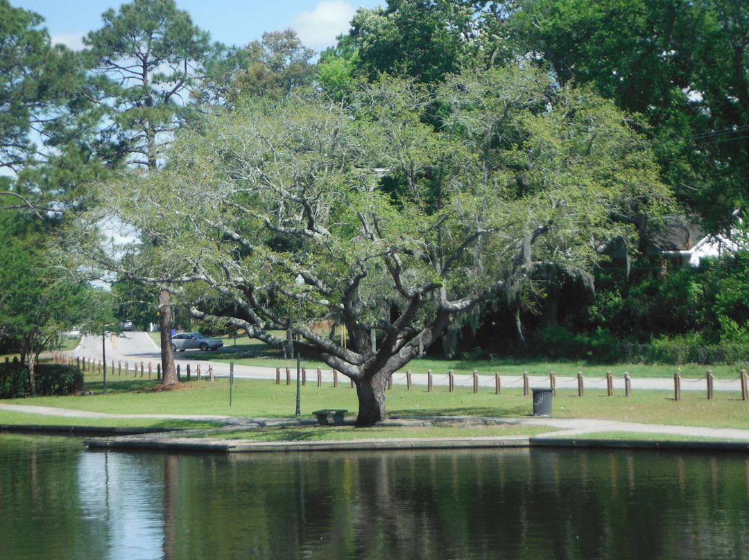 Quarterman Park景点图片