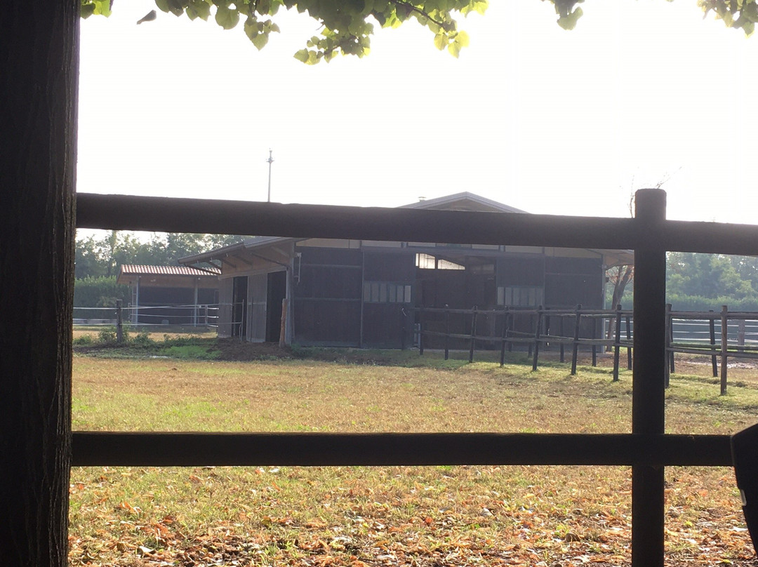 San Giacomo Horses主图