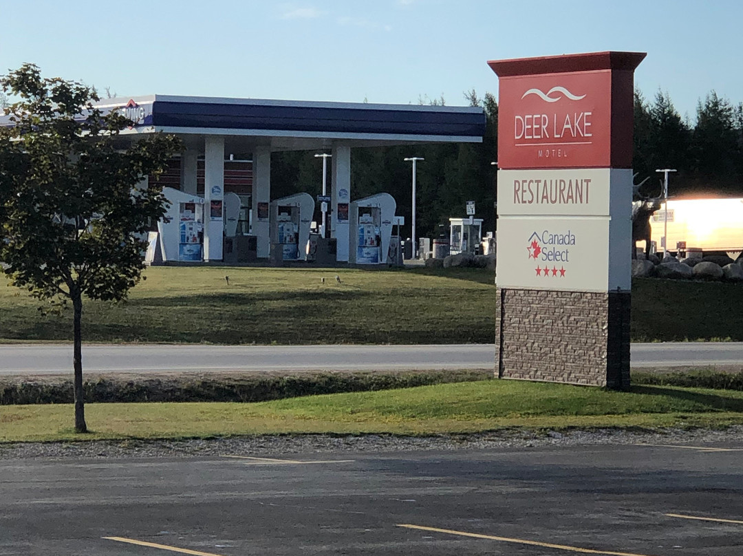 Deer Lake Motel主图