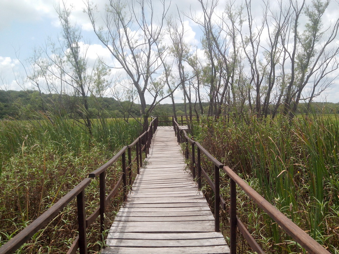 Parque Nacional Pre-Delta景点图片