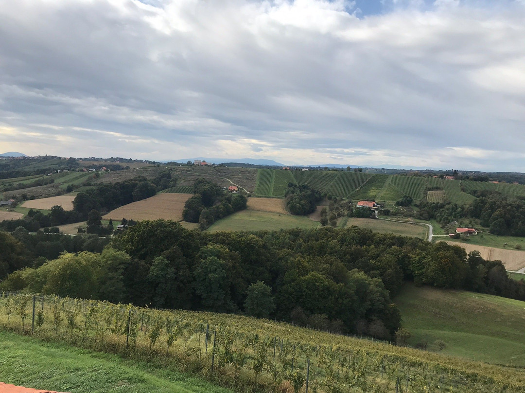 Puklavec Family Wines-Ormoz必去景点
