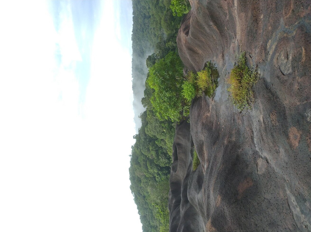Inselberg Savane Roche Virginie景点图片