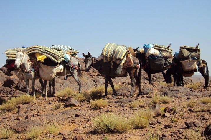 Excursions  vallée des roses