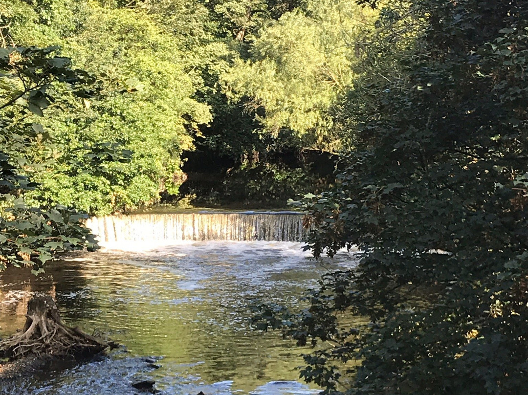 Haughton Dale Nature Reserve景点图片