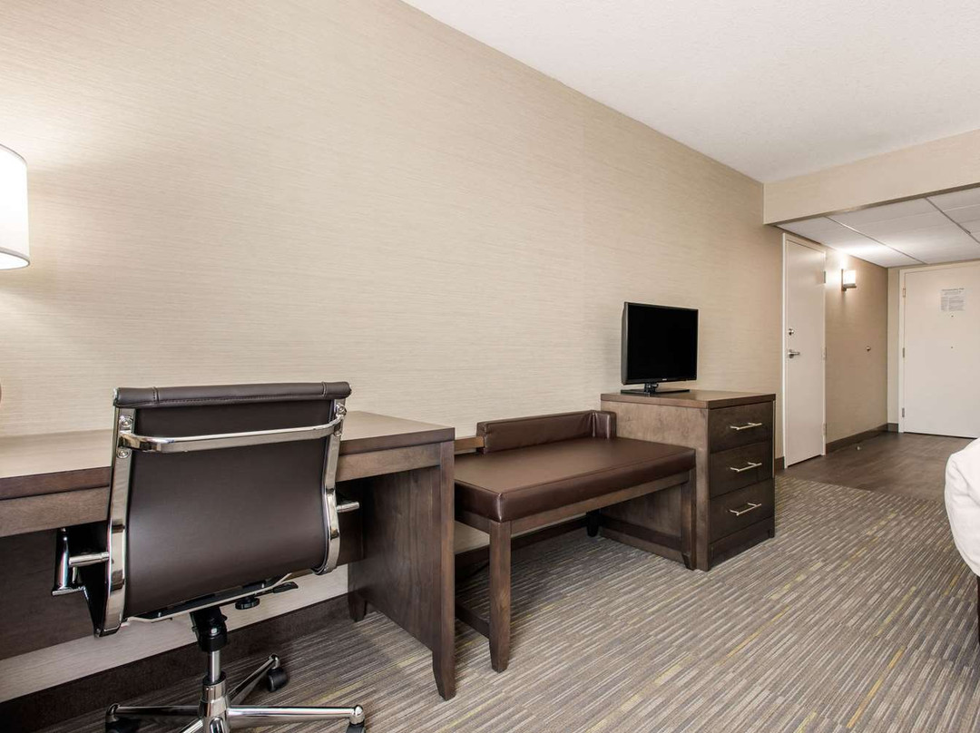 Comfort Inn & Suites Red Deer主图