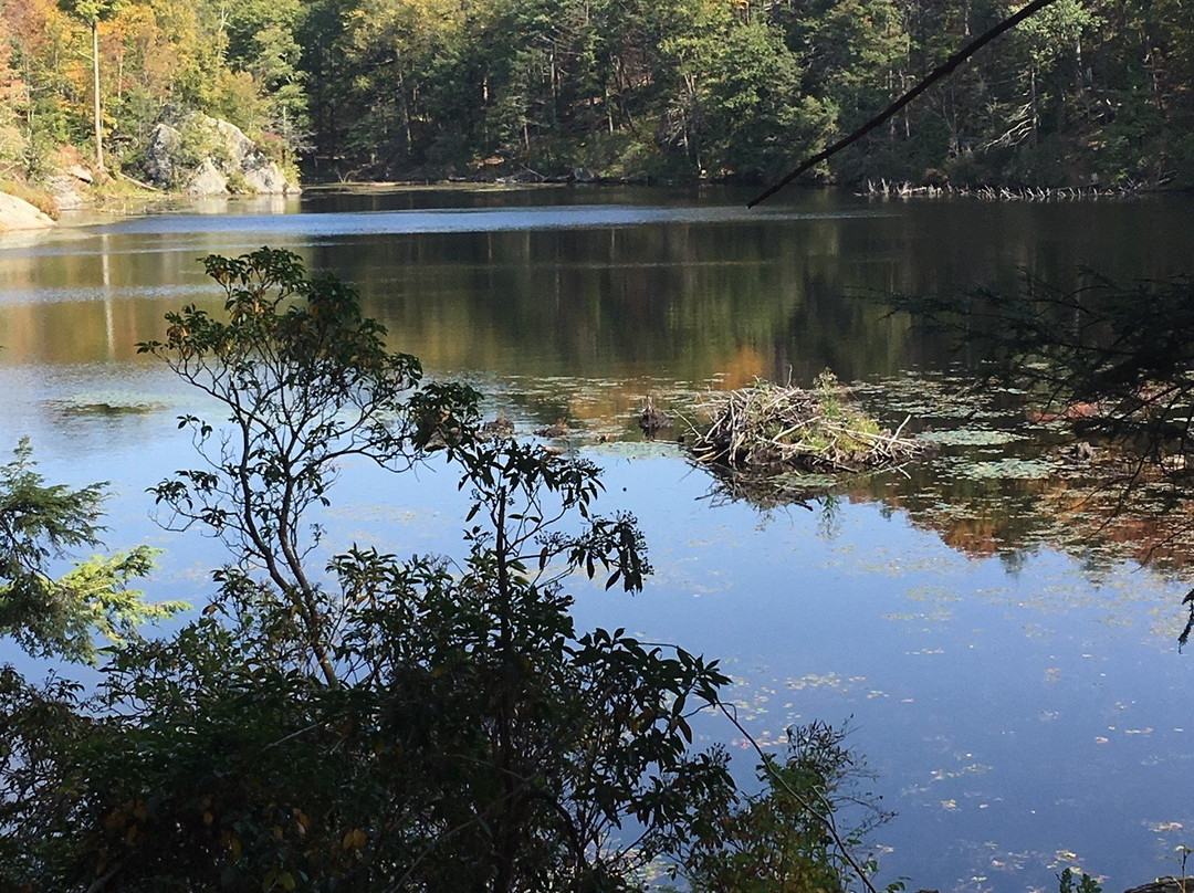 Fahnestock State Park景点图片