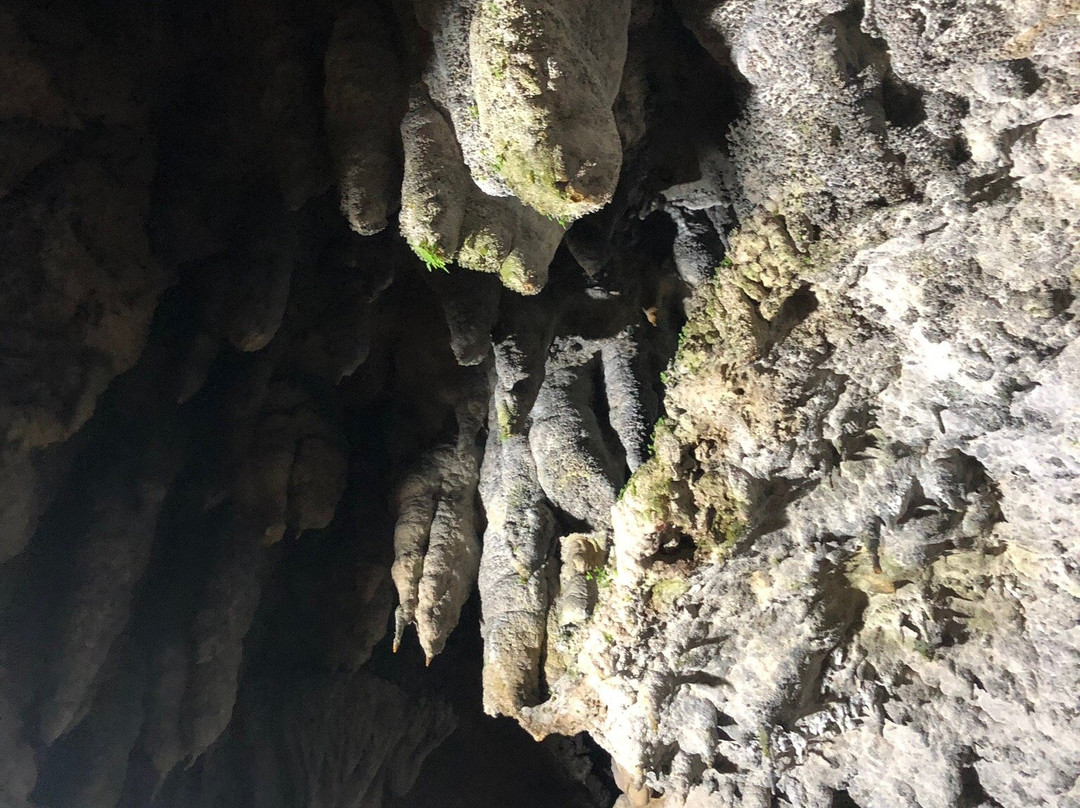 Cave Okinawa景点图片
