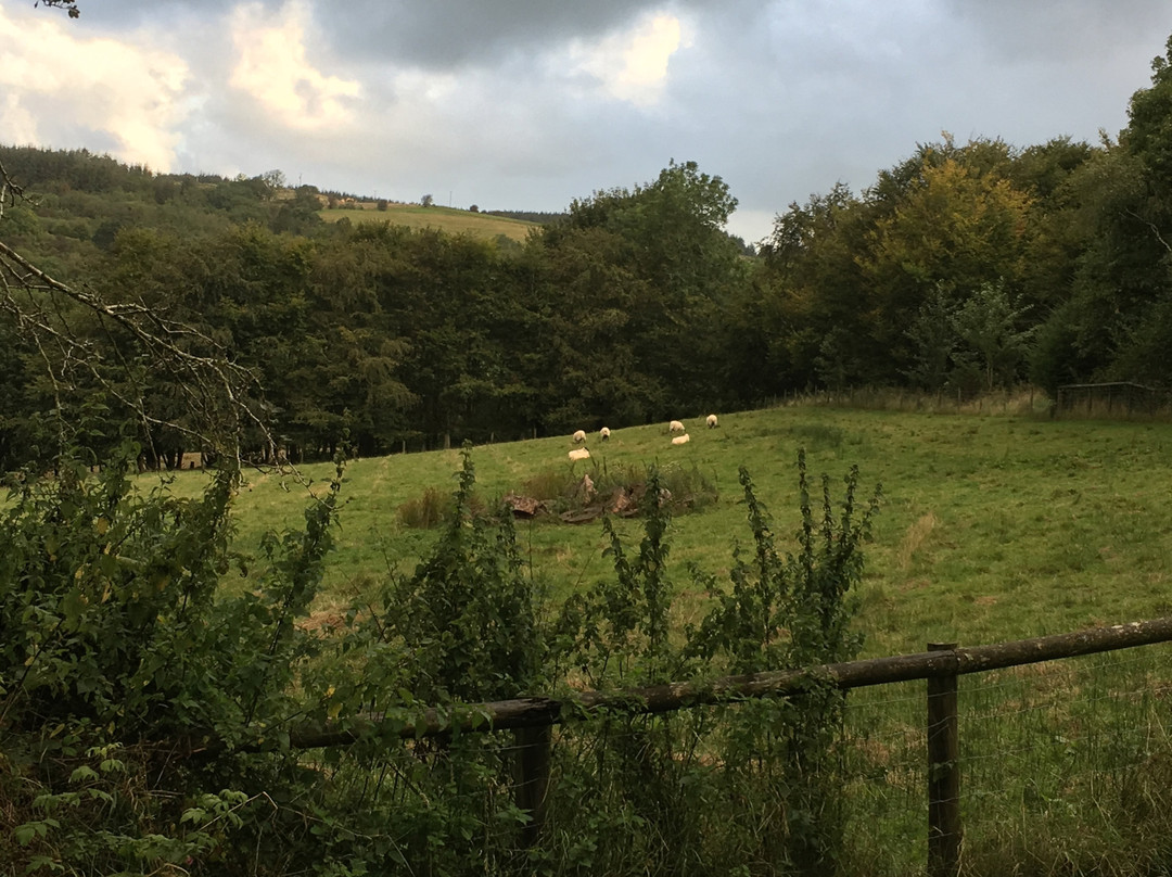 Brynarth Country Cottages主图