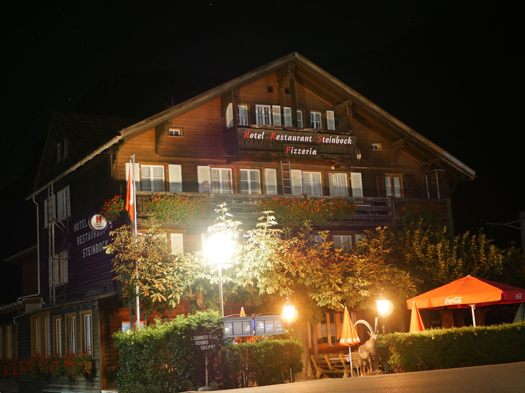 Hotel Steinbock主图