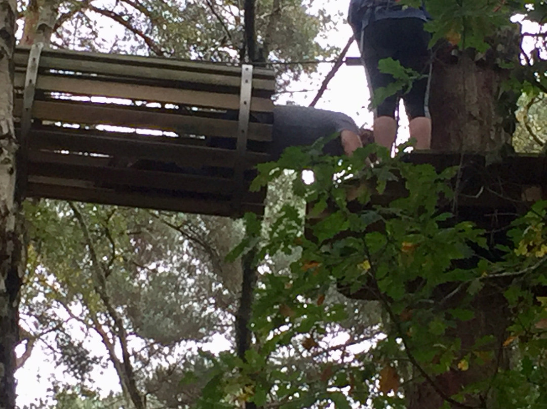 Go Ape Bracknell-布拉克内尔必去景点