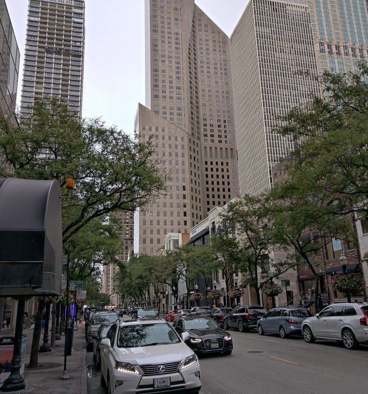 梧桐街-芝加哥必去景点