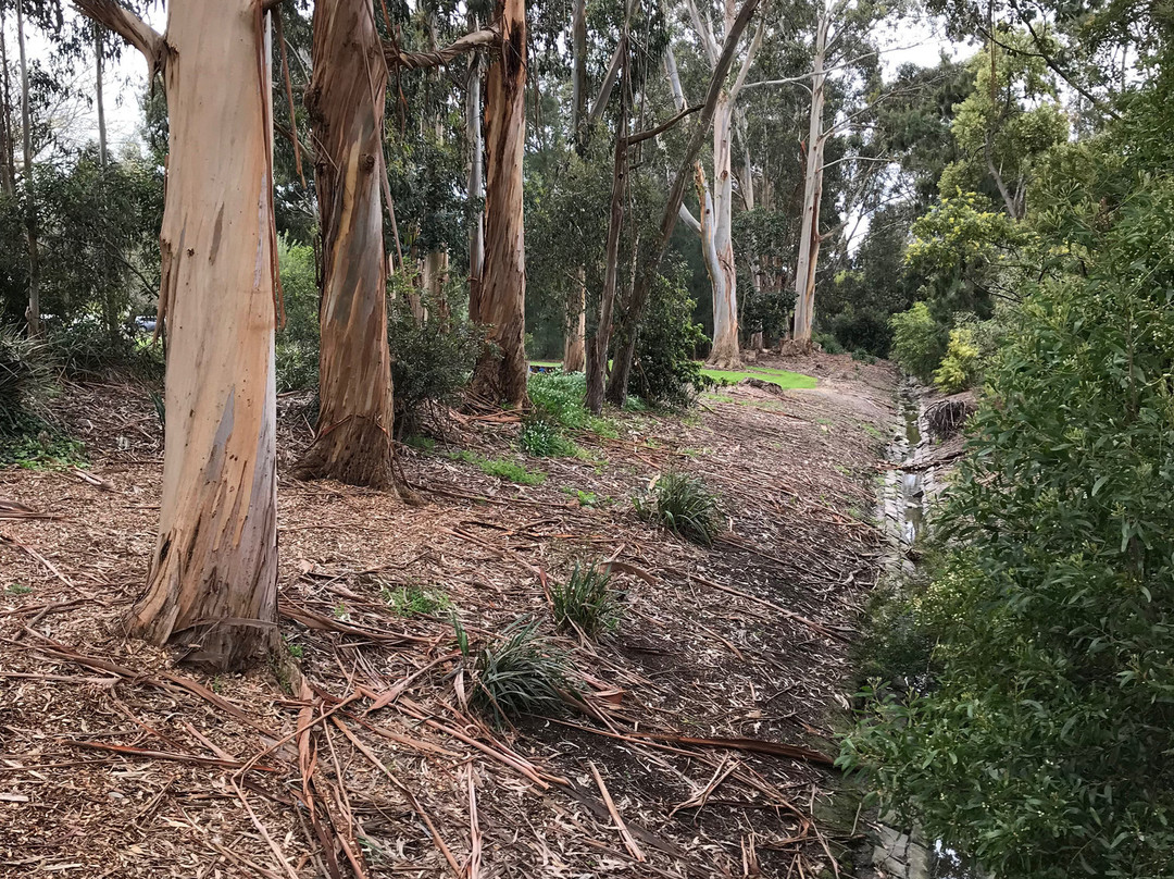 R E McIndoe Park-Leongatha必去景点