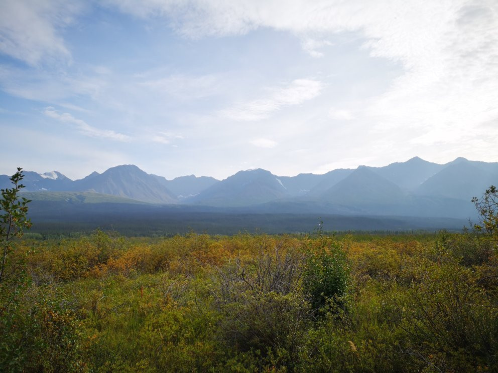 Dezadeash River Trail-海恩斯章克申必去景点