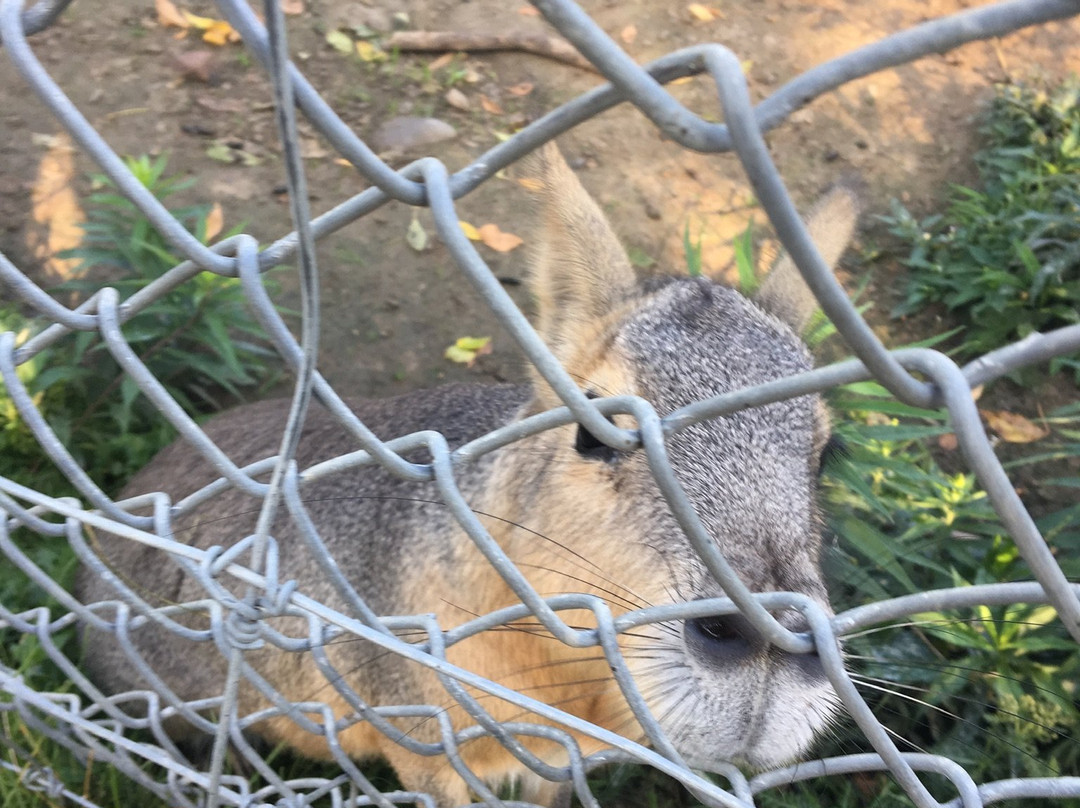 Oshawa Zoo-奥沙瓦必去景点