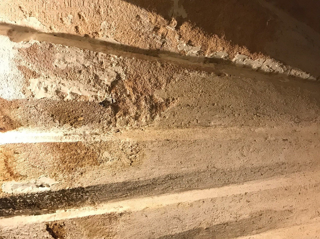 Prieure de Salagon景点图片