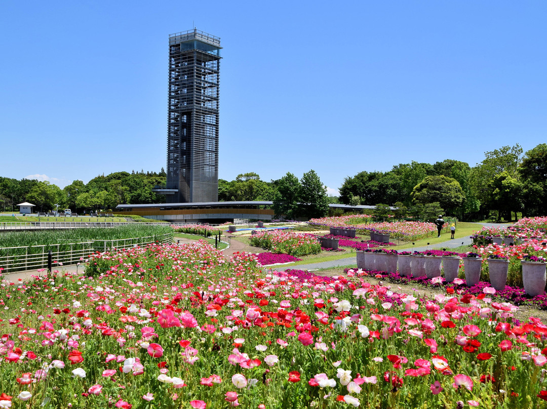 滨松花卉公园景点图片