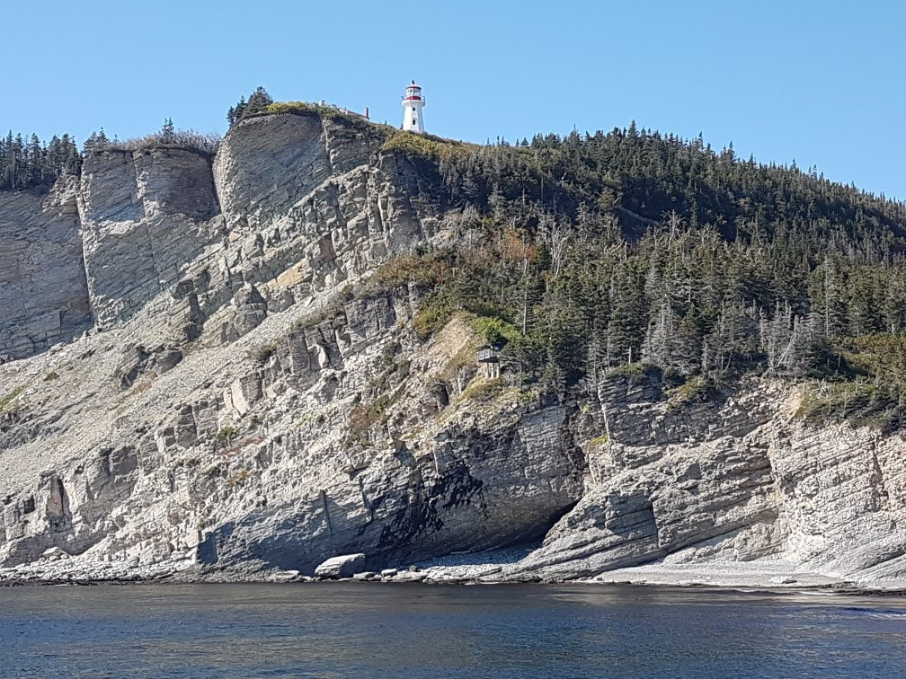 Whale-Watching Cruise in Forillon National Park景点图片