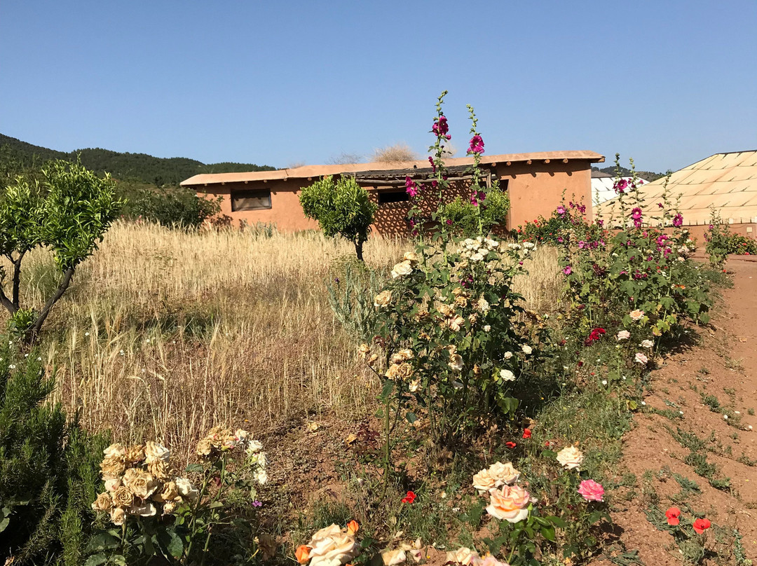 Terres d'Amanar主图