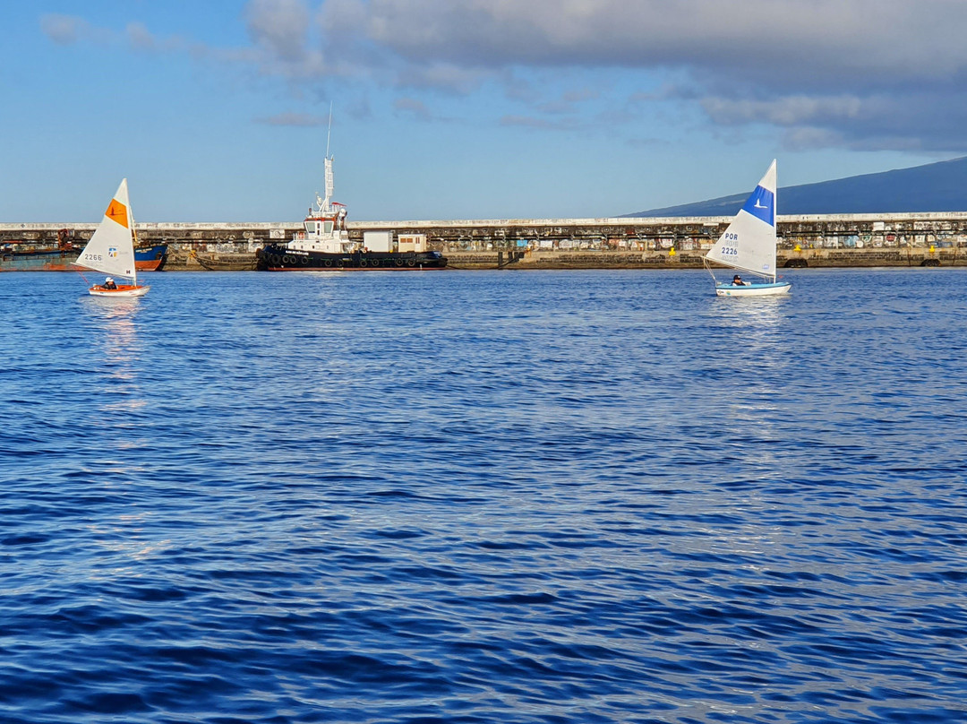 Dive Azores-奥尔塔必去景点