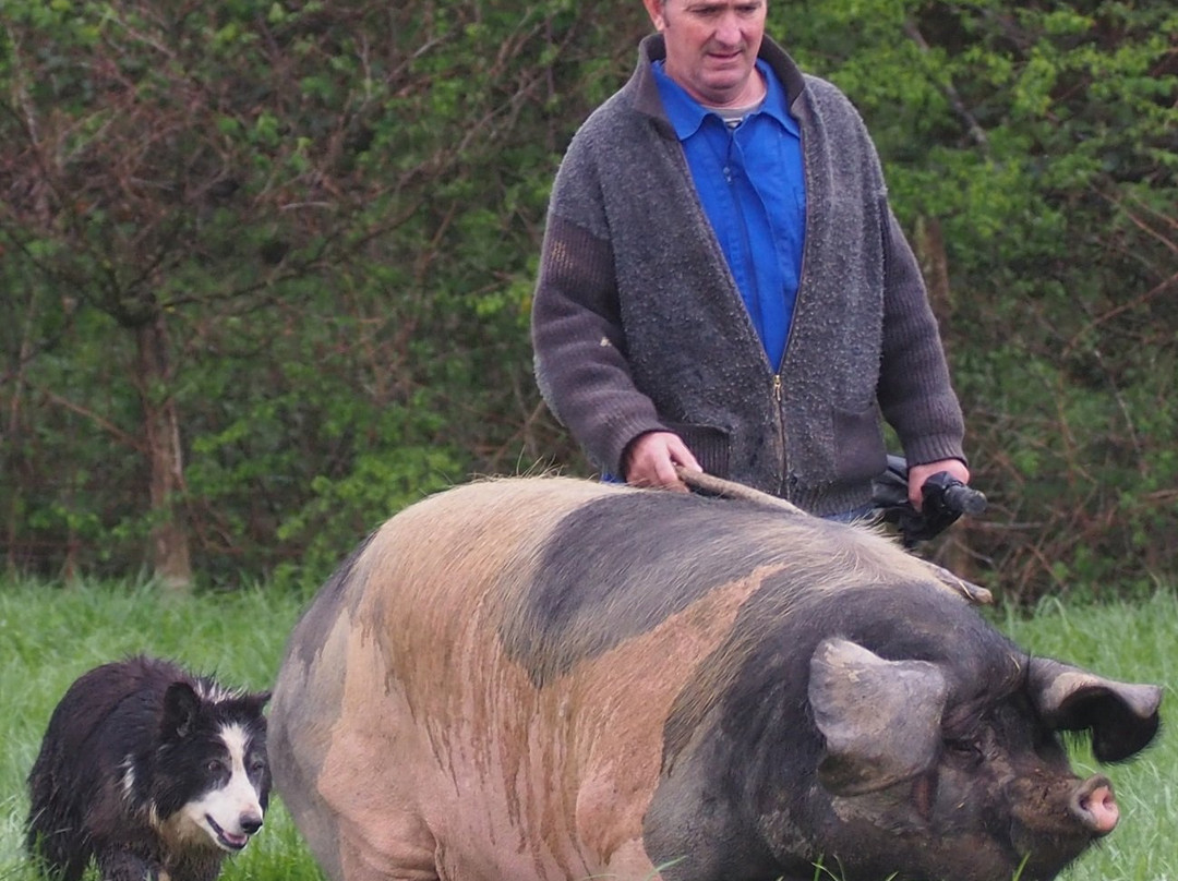 Northern Spain Travel-潘普洛纳必去景点