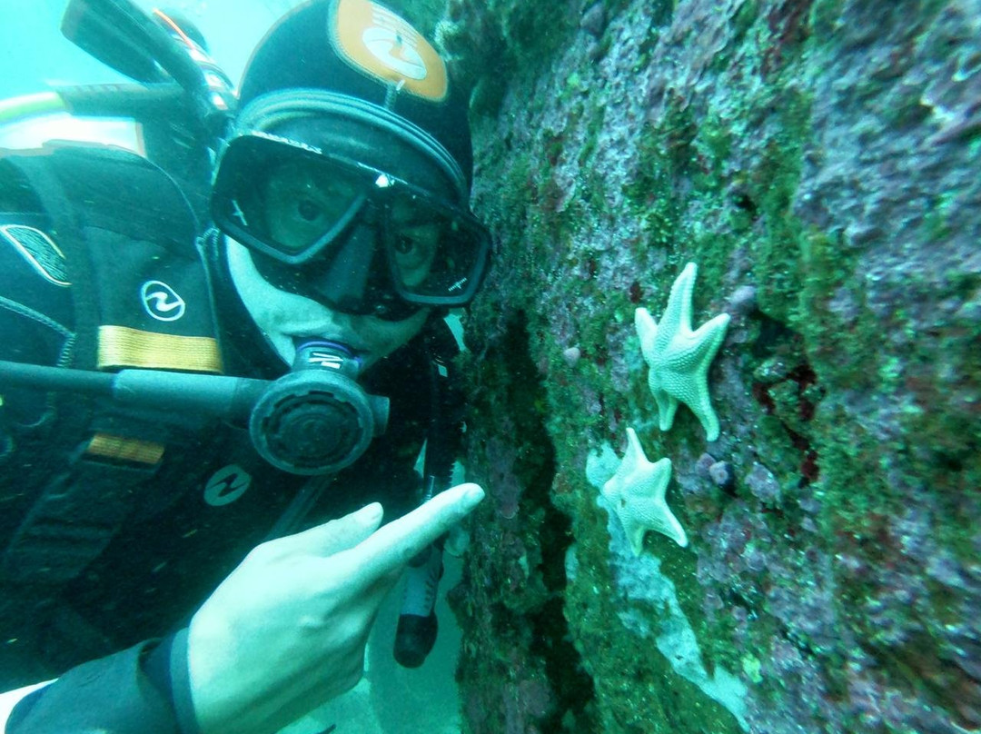 Buceo Quintay-Quintay必去景点