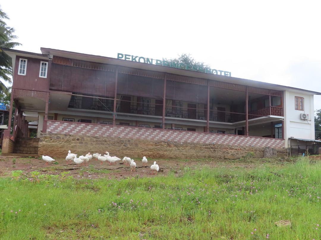 Pekon Princess Resort主图