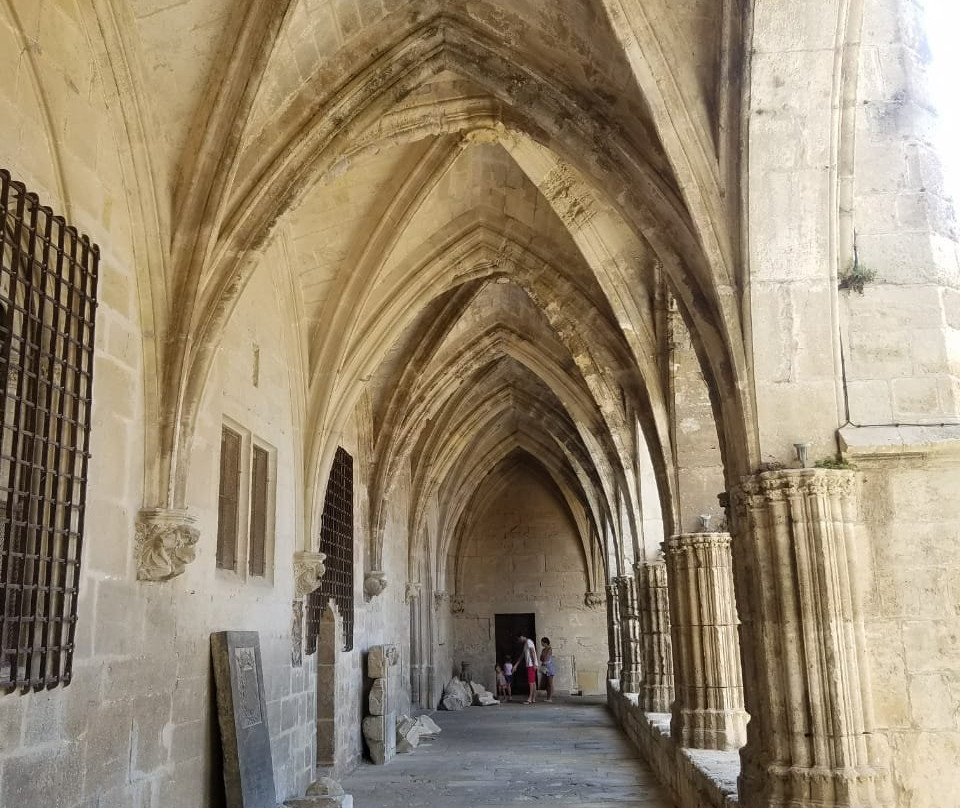 Cathédrale Saint-Nazaire de Béziers-贝济耶必去景点