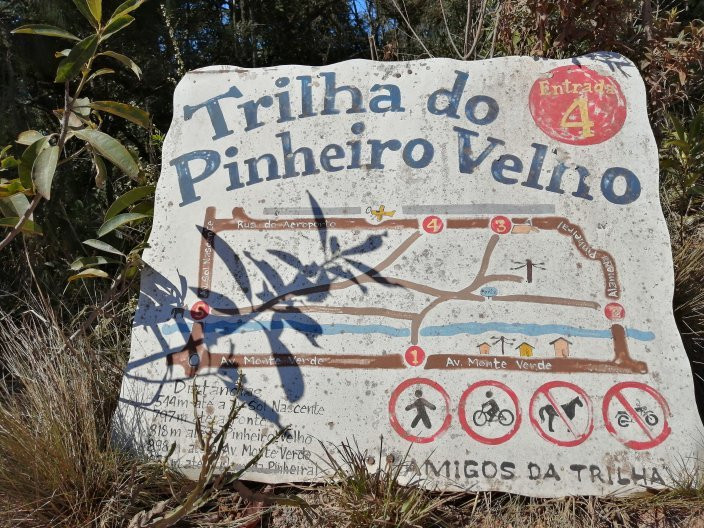 Trilha do Pinheiro Velho景点图片