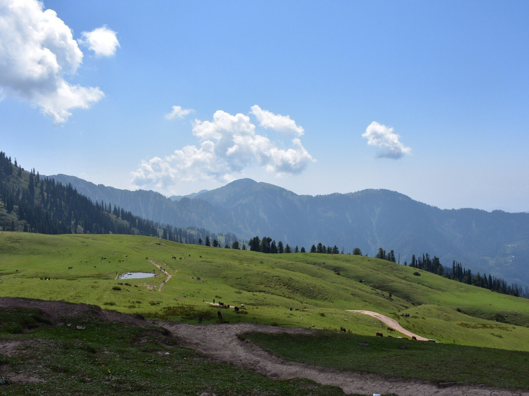 Arcadian Sprucewoods Luxury Resort主图