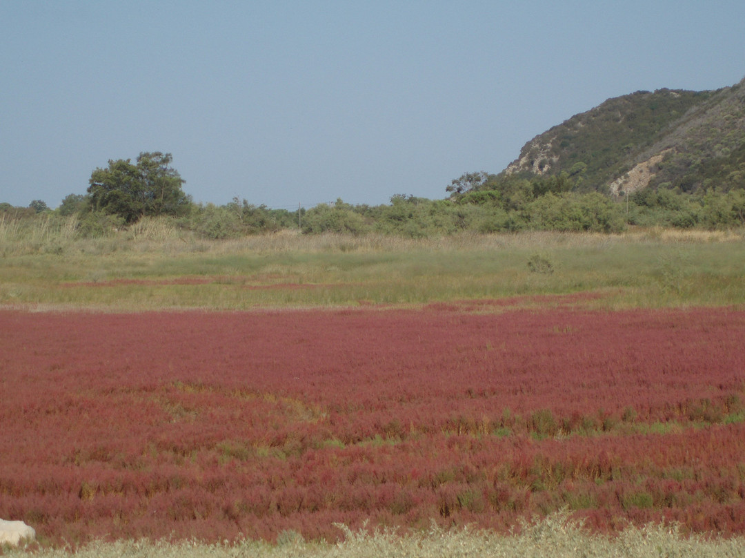 National Park of Kotychi and Strofylia Wetlands-Kalogria必去景点