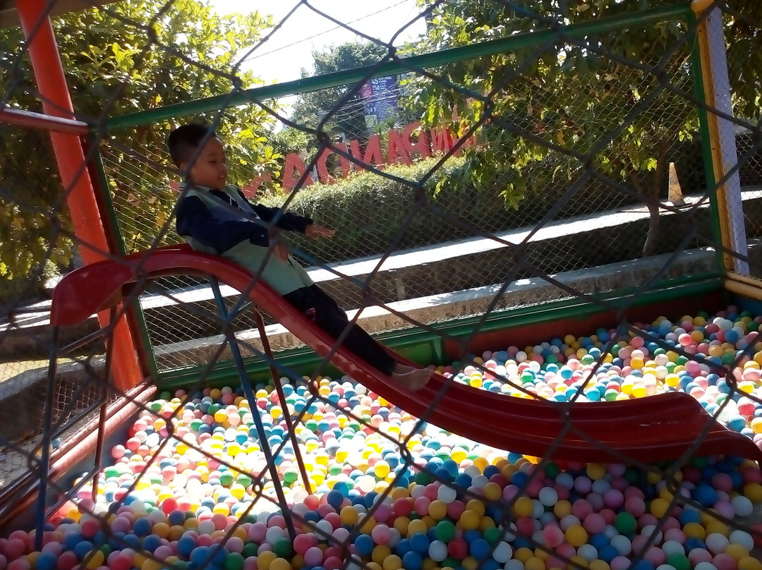 Pandan Alas Park-Boyolali必去景点