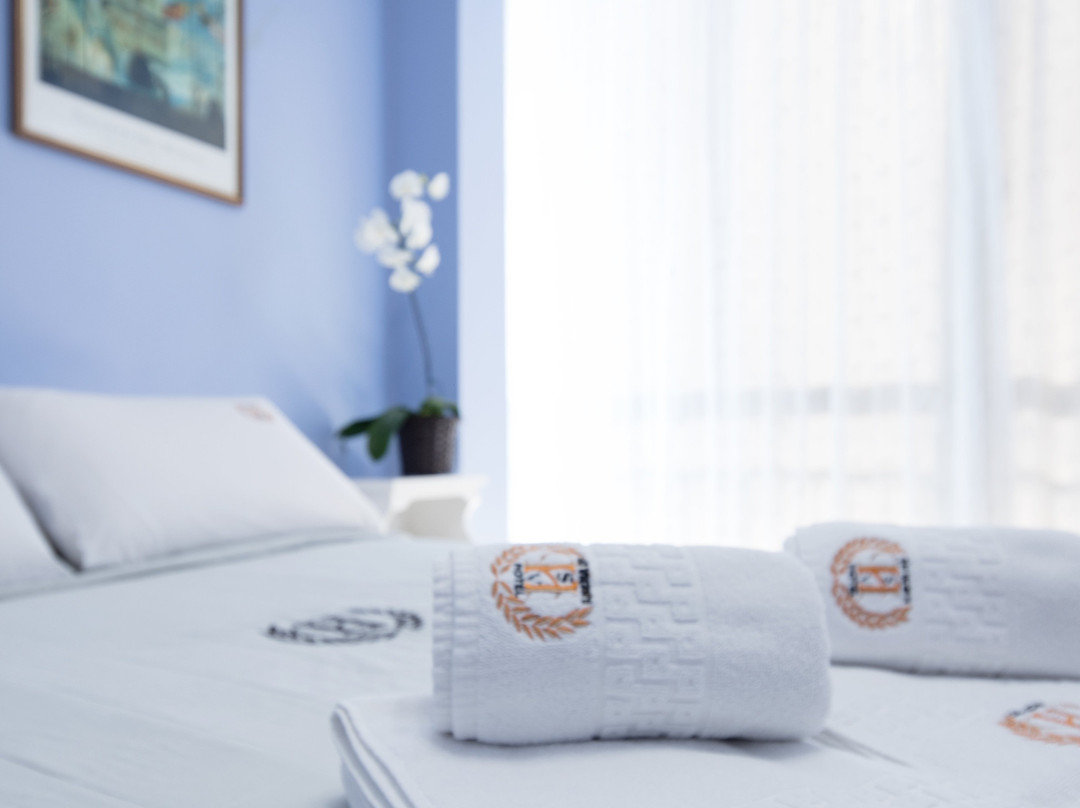 Hotel Sao Vicente主图