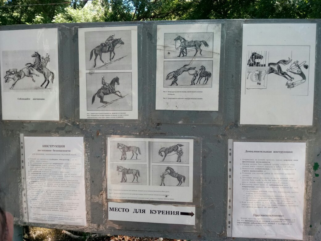 Horse Riding Club Demerdzhi