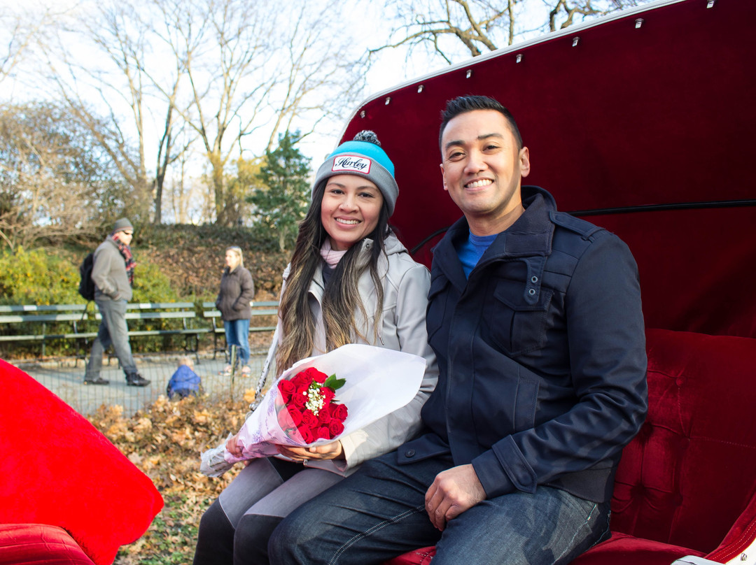 Central Park Carriage Rides - Official Booking  Site-纽约市必去景点