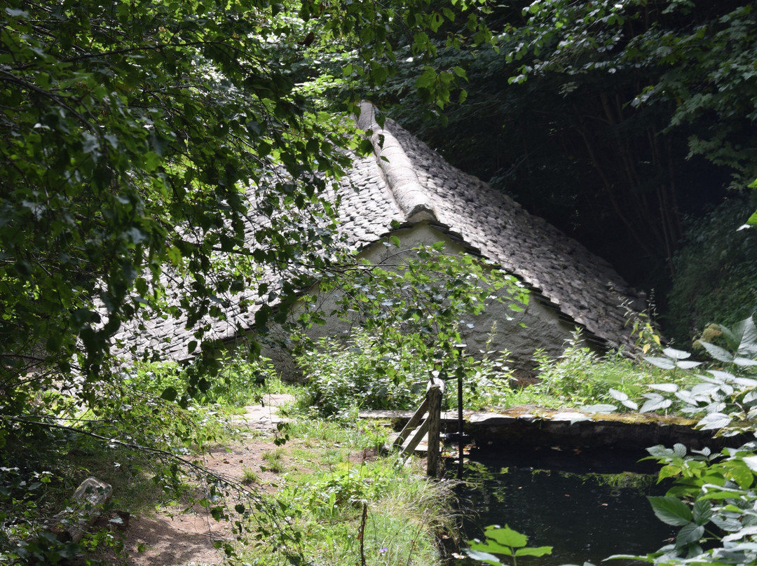 Le Moulin de Drils景点图片