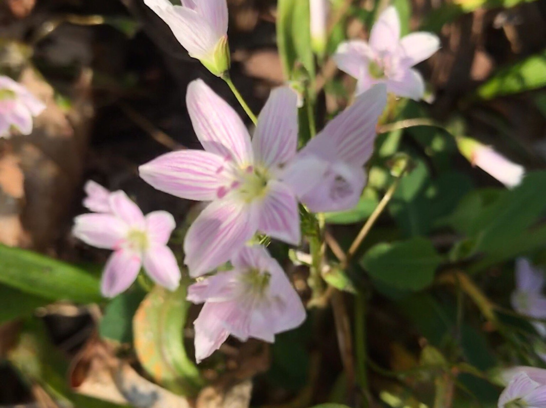 Scenic Hudson's Long Dock Park-Beacon必去景点